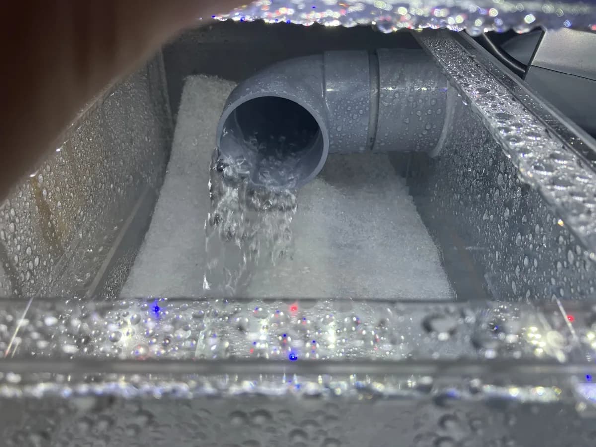 プレコ什器に水槽を設置してもらいました！後編