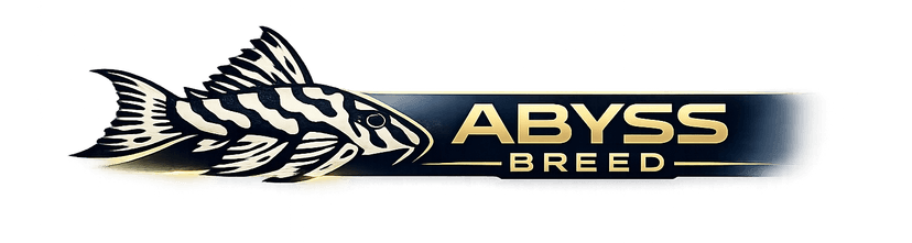 ABYSS BREED